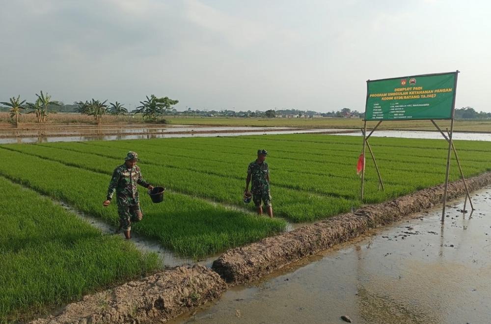 Kreasi Benih Protangguh, Upaya Jaga Ketahanan Pangan