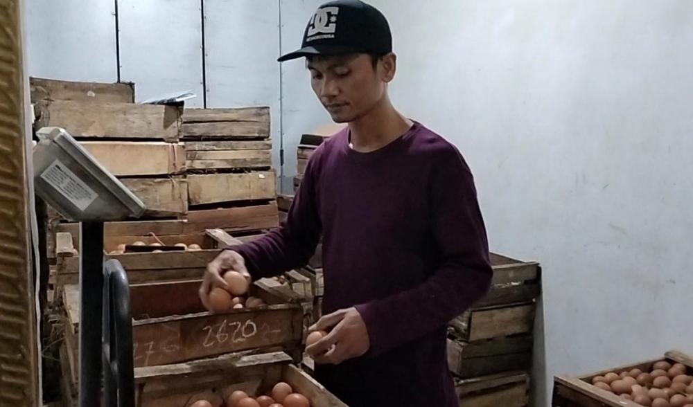 Pasokan Berkurang, Harga Telur Melonjak