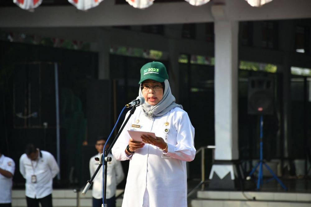 PETUGAS ST2023 DIMINTA DATA AKURAT