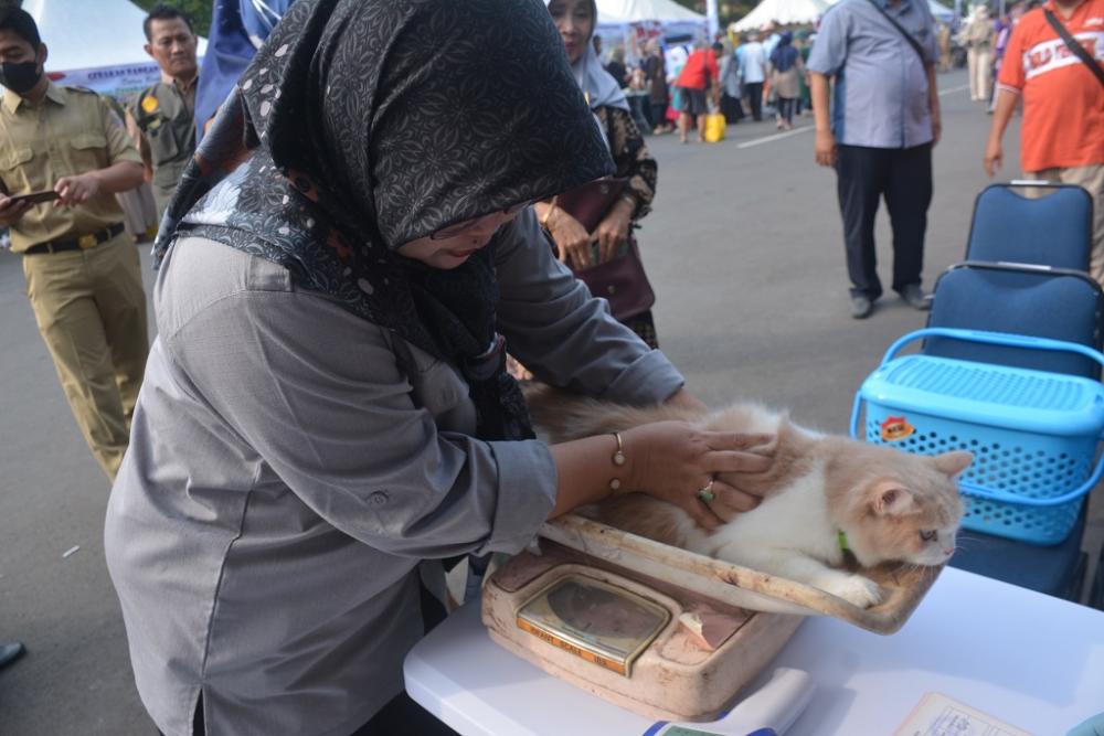 Disnakkeswan Jateng Gelar Vaksinasi Rabies dan Steril Gratis Hewan Peliharaan di Batang