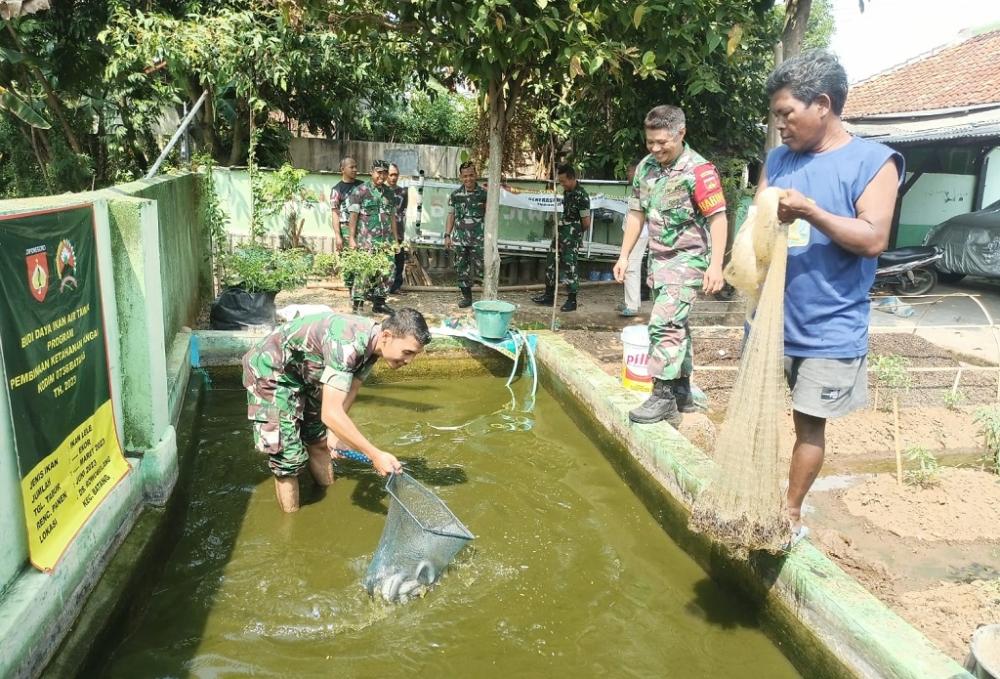 Budidaya Ikan, Kodim Batang Manfaatkan Kolam Buatan