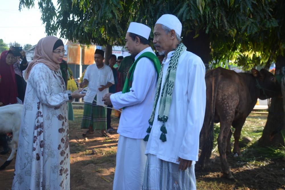 SERAHKAN HEWAN KURBAN