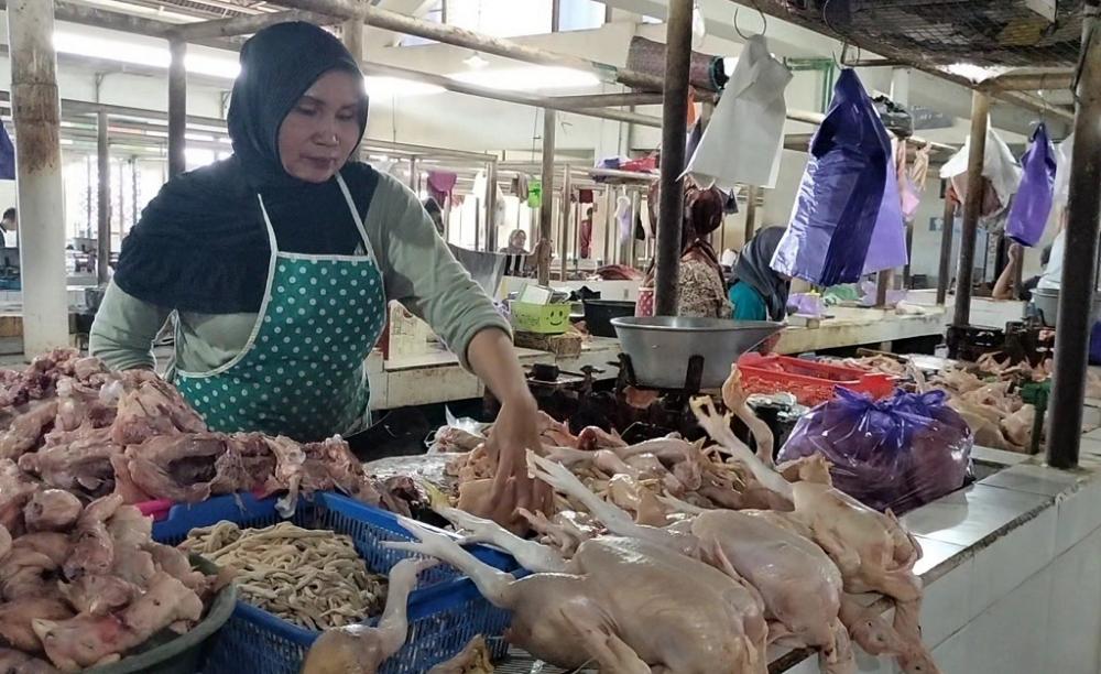 HARGA AYAM POTONG MASIH MELANGIT