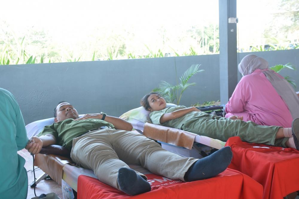 DONOR DARAH di SBJ BATANG