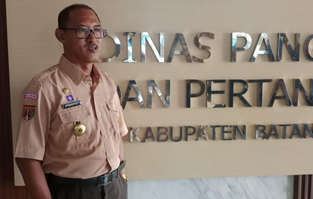 Kekeringan Melanda, Pemkab Batang Miliki Cadangan Tiga Lumbung Pangan