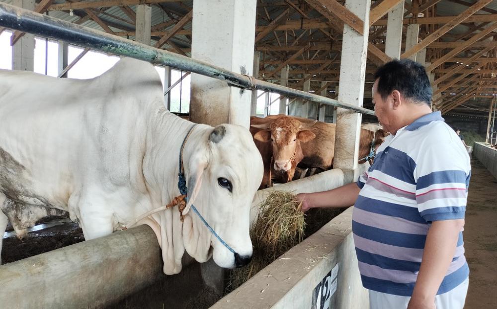 Mal Sapi Pak Topo jadi Incaran Konsumen