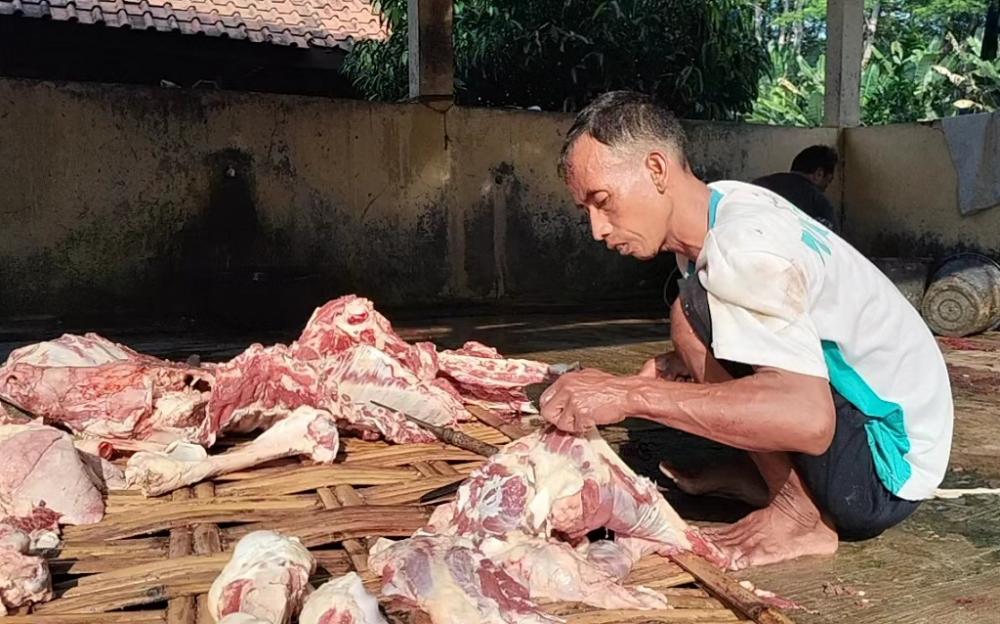 POTONG DAGING KURBAN