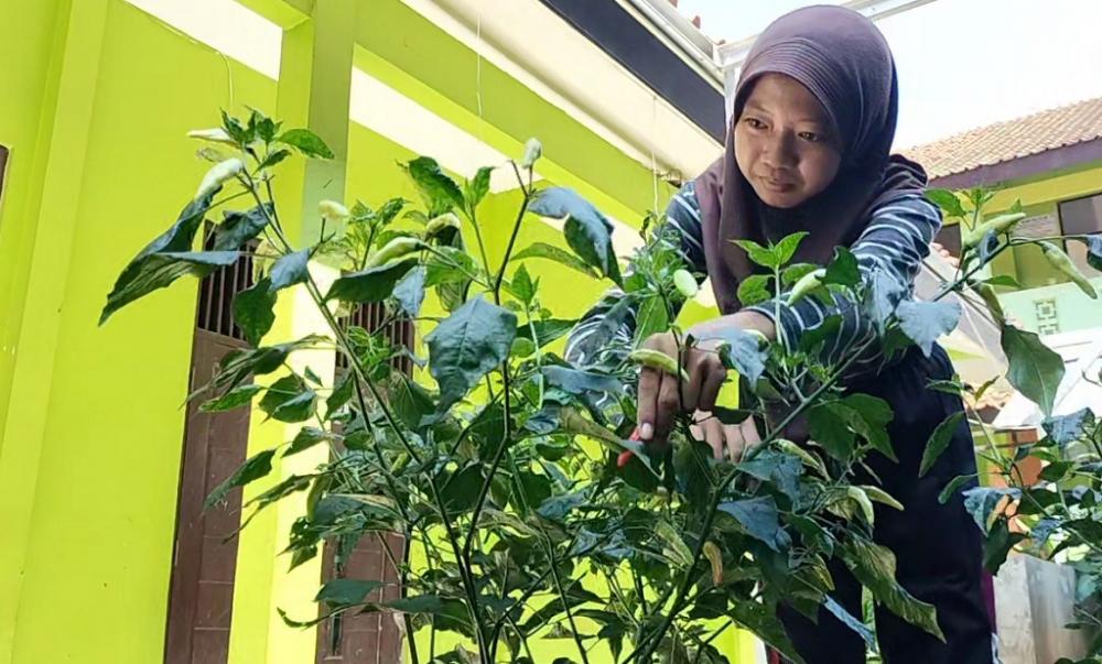 Ruang Terbuka Hijau Giring Adiwiyata