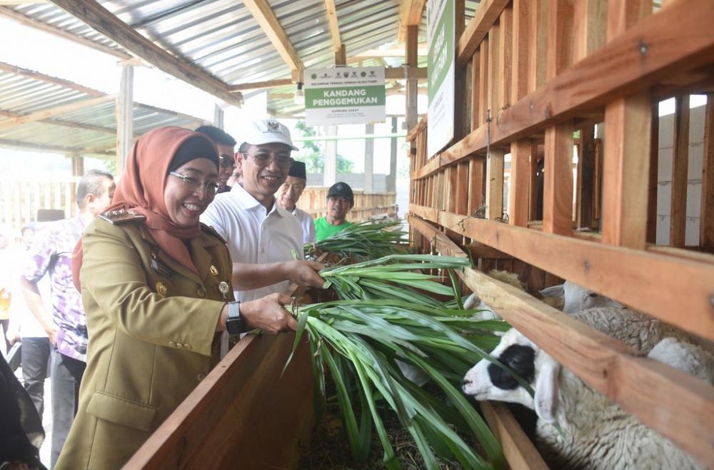 Baznas RI Luncurkan Balai Ternak di SMK Peternakan Lembah Hijau Batang