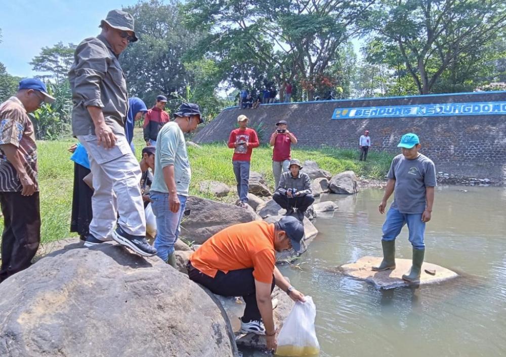 Dislutkanak Batang Tebar Benih Ikan di Perairan Umum Untuk Tambah Populasi