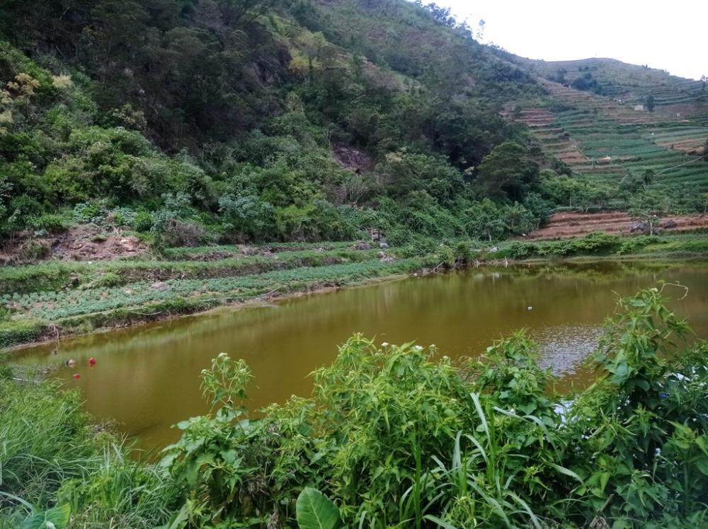 Disparpora Batang Bakal Lengkapi Telaga Mendongan dengan Perahu Wisata 