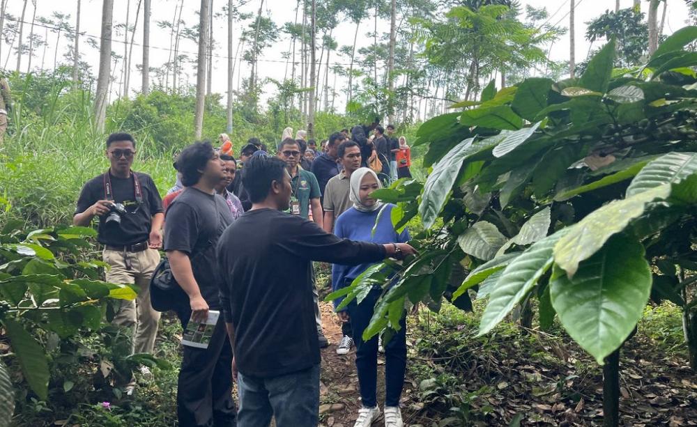 Standarisasi Perlu Diintensifkan, Demi Temukan Kopi Batang Berkualitas