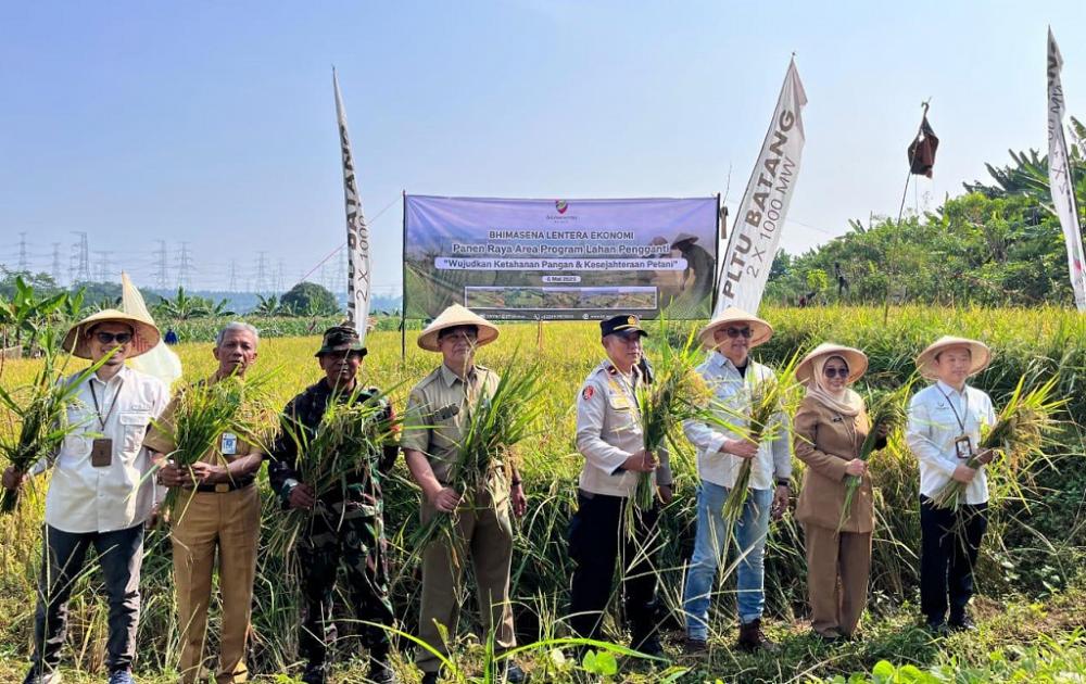 Wujudkan Ketahanan Pangan, BPI Bersama Dispaperta Panen Raya Padi di Lahan Pengganti