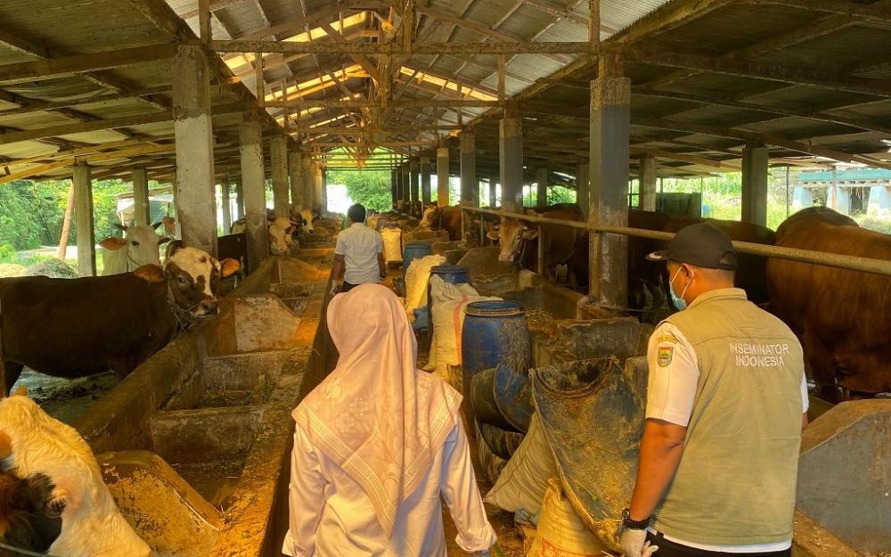 Jelang Iduladha, Penjualan Hewan Kurban Sepi Peminat