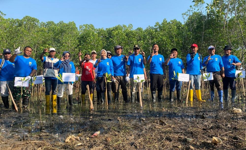 Cepatnya Tingkat Abrasi, Pemkab Batang Menggalakkan Rehabilitasi Pesisir Dengan Tanam Mangrove