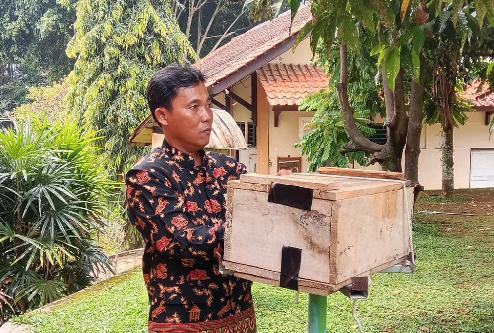 Potensi Ternak Lebah SMA 1 Bandar Datangkan Cuan