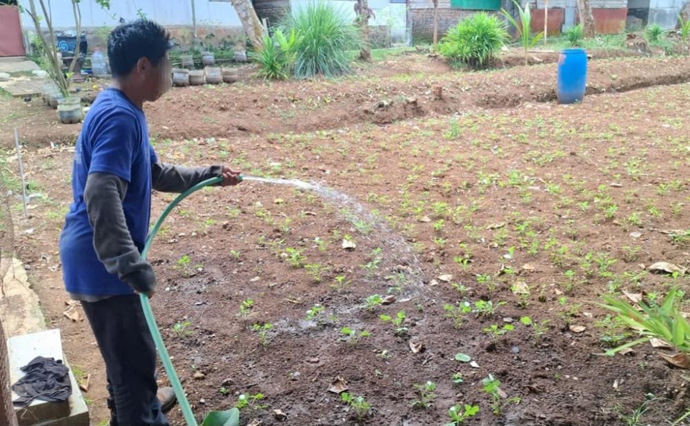 Lapas Batang Bekali Warga Binaan jadi Petani Milenial