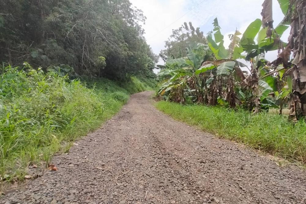 Akses Vital Lumpuh, Jalan Subah-Kedawung Menanti Sentuhan Pembangunan Pemerintah