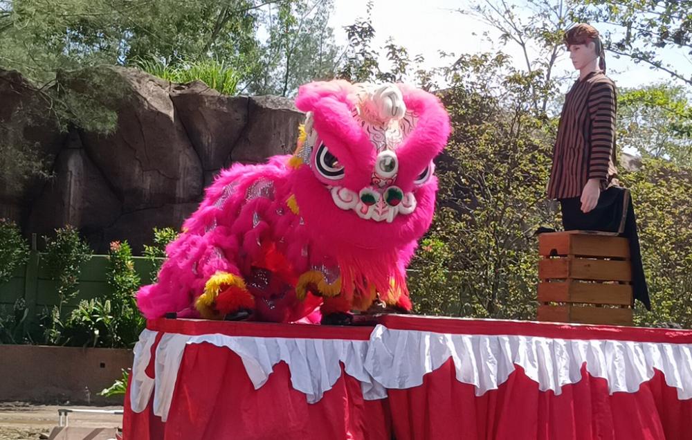 Meriahkan Imlek, Safari Beach Jateng Hadirkan Barongsai