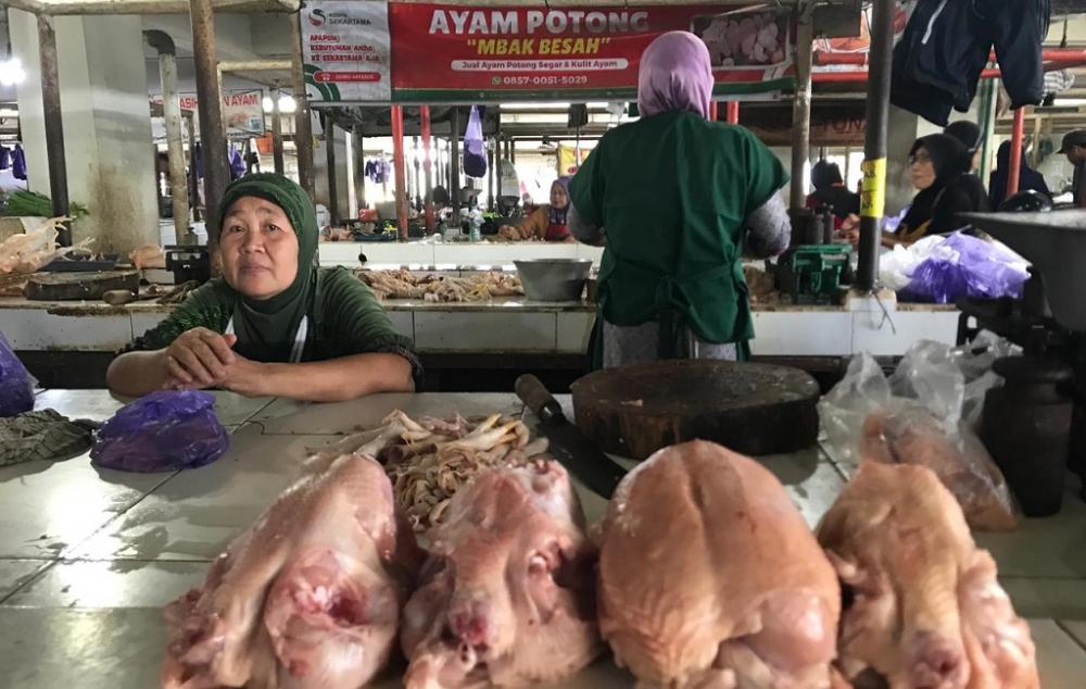 Harga Ayam di Pasar Batang Tembus Rp42 Ribu