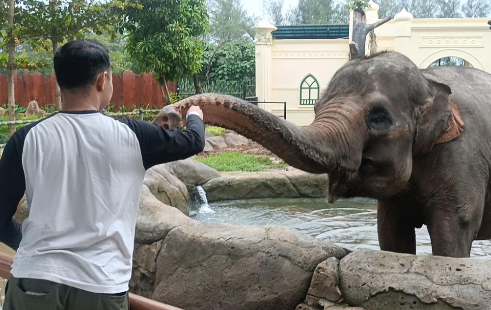 Ngabuburit Asyik, Safari Beach Jateng Hadirkan Suasana Kampung Halaman
