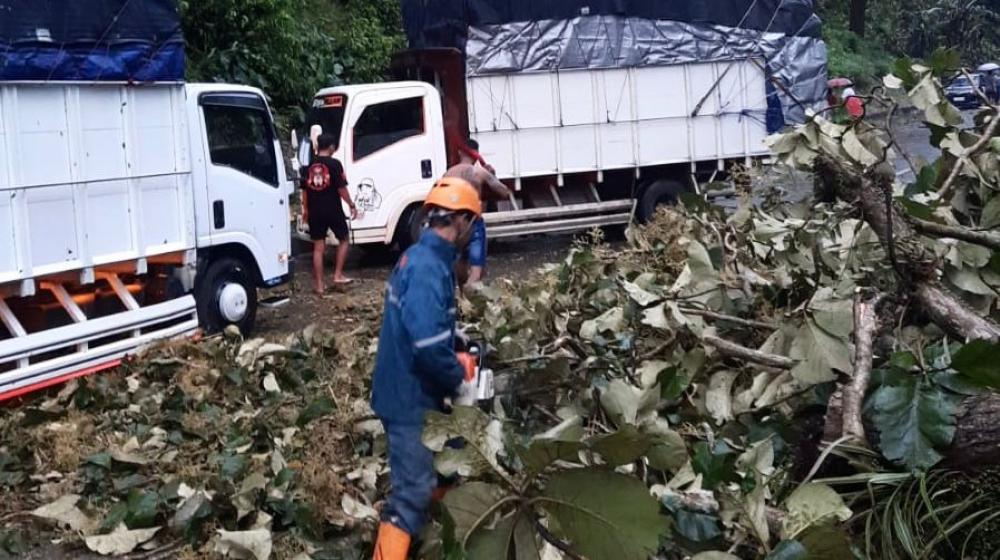 BPBD Sudah Berikan Peringatan, Angin Kencang Landa Subah dan Sejumlah Wilayah Batang