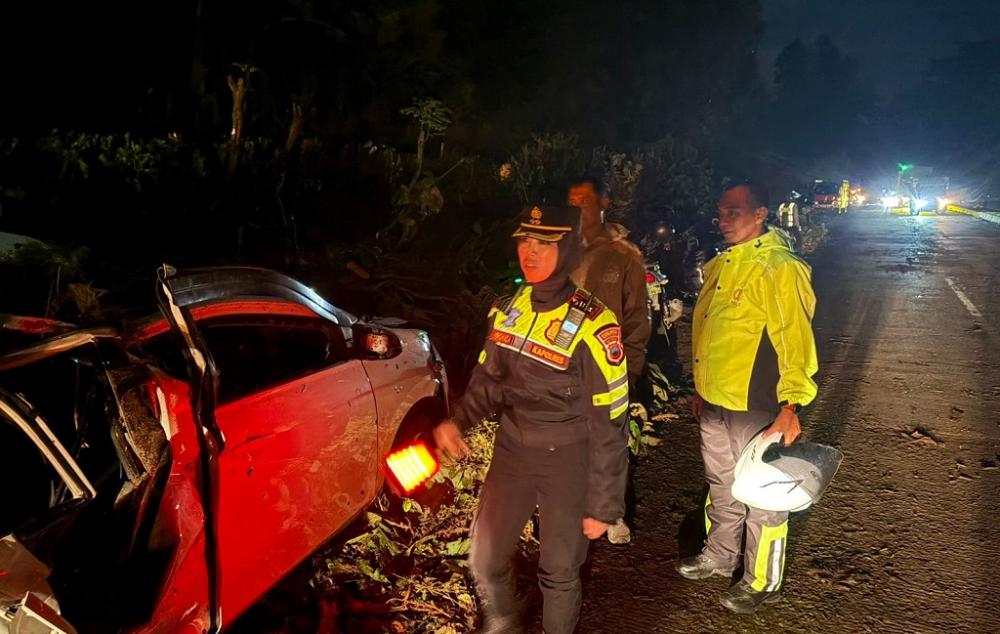 Angin Kencang Tumbangkan Puluhan Pohon, Jalur Pantura Batang Sempat Lumpuh