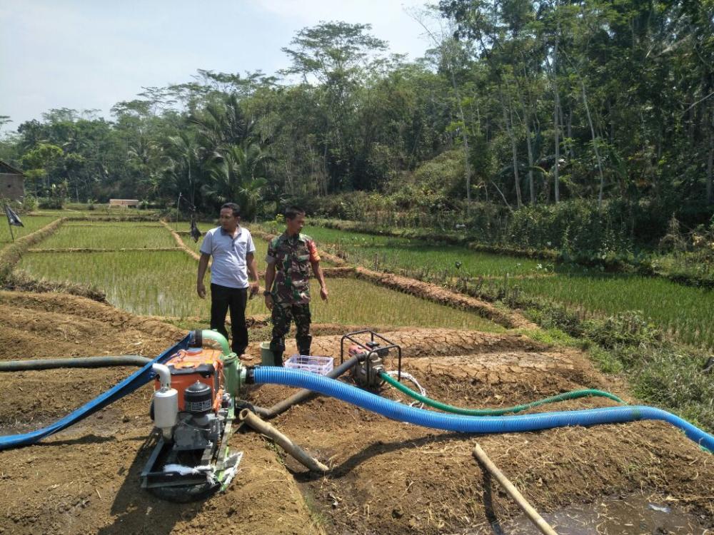 Brigade Alsintan Kodim 0736/Batang Siap Kawal Petani