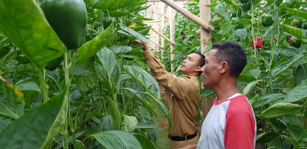 Bupati Batang Wacanakan Evolusi Industri Pertanian 