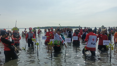 PMI Batang Upayakan Kawasan Rob jadi Wisata Perikanan