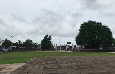 Prioritaskan Keseimbangan Ekosistem Kota, Bupati Batang Fokuskan Anggaran untuk Pemeliharaan RTH