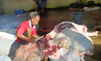 juru-sembelih-bersertifikat-rph-sambong-dipercaya-sohibul-qurban