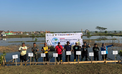 Dukung Hari Lingkungan Hidup 2026, BPI Siapkan 30.000 Bibit Mangrove untuk Pesisir Batang