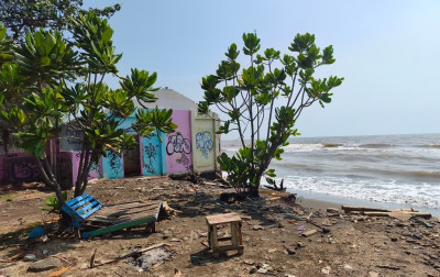 Dua Hektare Lahan Pantai Sigandu Batang Terendam Rob, Pemkab Siapkan Pembenahan
