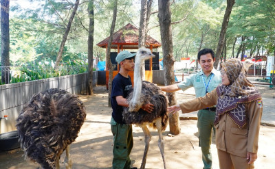 Bupati Batang Rekomendasikan Wisata Lokal Selama Libur Sekolah, Beach Safari dan Curug Genting Jadi Andalan
