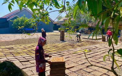 Karangasem Selatan Berpeluang Jadi Sentra Kerupuk, Pemkab Batang Dorong Inovasi UMKM