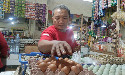 MBG Rehat Tiga Pekan, Harga Ayam Potong di Batang Melorot