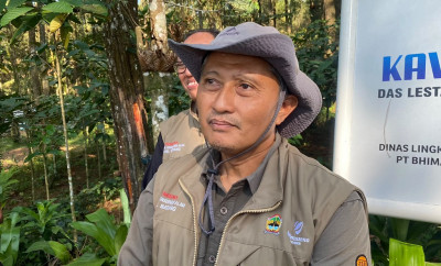Raja Udang Kalung Biru yang Terancam Punah Ditemukan di Batang