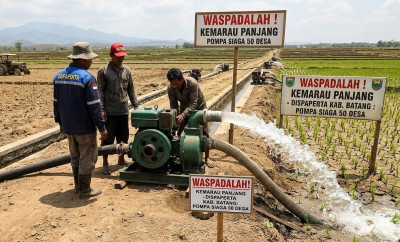 Ancaman Kekeringan Mengintai, Dispaperta Batang Siagakan Puluhan Pompa