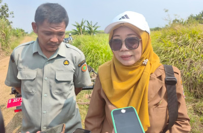 Pemkab Batang Siapkan Langkah Antispasi Pestisida Untuk Hama Tikus