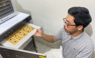 Petani Gen Z Kembangkan Sale Pisang Tanduk dengan Topping Kacang