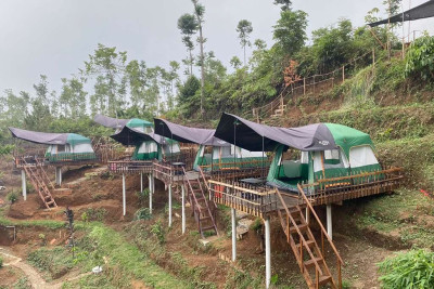 Jelajahi Hutan hingga Tanam Pohon, Sidawung Camp Usung Ekowisata Berkelanjutan