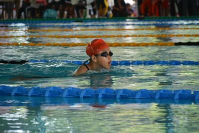 kejuaraan-renang-tingkat-kabupaten