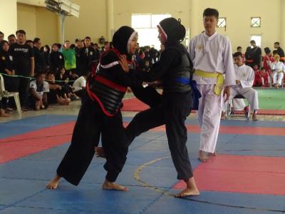 Pertandingan Pencak Silat