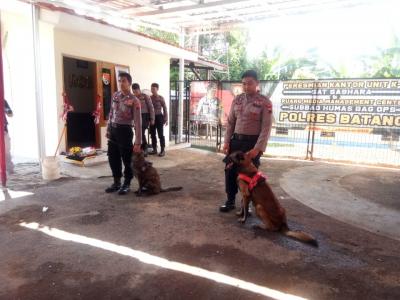pasukan-anjing-cerdas-resmi-menempati-kantor-unit-k9