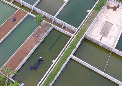 BALAI BENIH IKAN SOJOMERTO