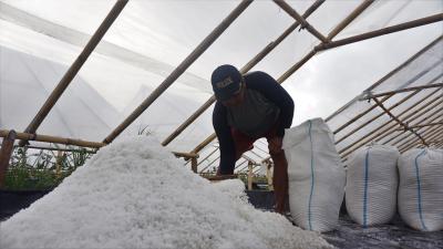 Harga Anjlok, Petani Garam di Batang Mengeluh