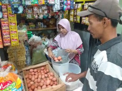 HARGA TELUR AYAM NAIK