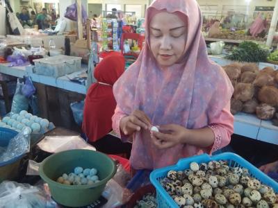 JUAL TELUR PUYUH