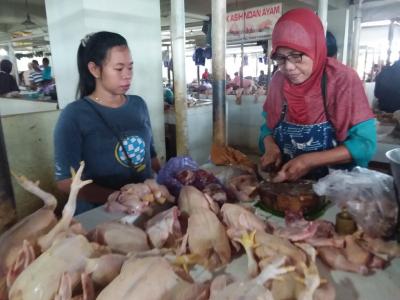HARGA AYAM POTONG CENDERUNG TURUN